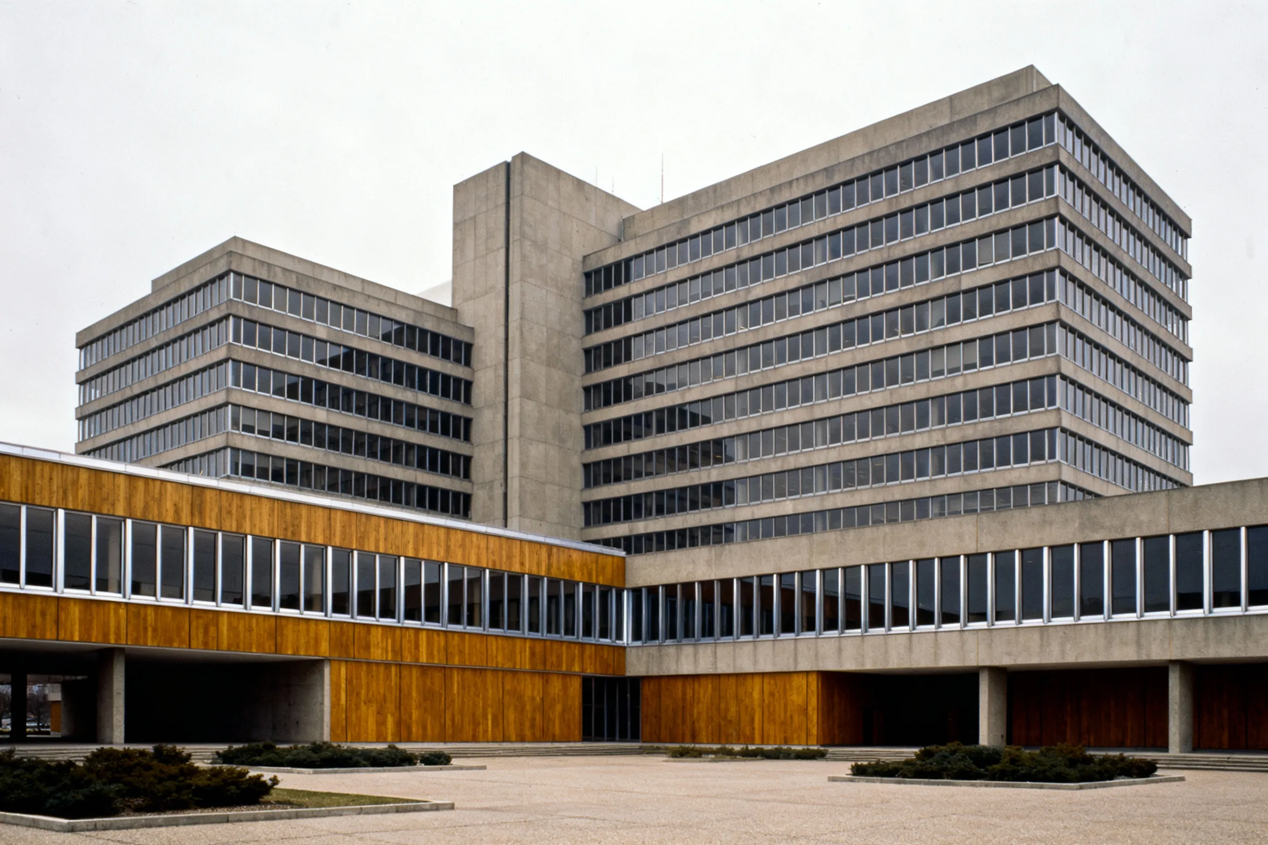 Synesthesia Corporation